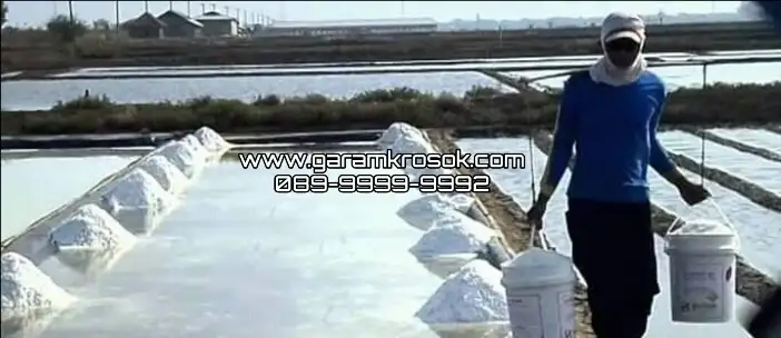 Supplier Garam Kasar Madura Grade A untuk Kebutuhan Pabrik di Seluruh Indonesia
